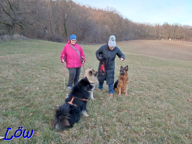 14.1.2023 - Kira, Dwix und Howard beim Freizeit-Training